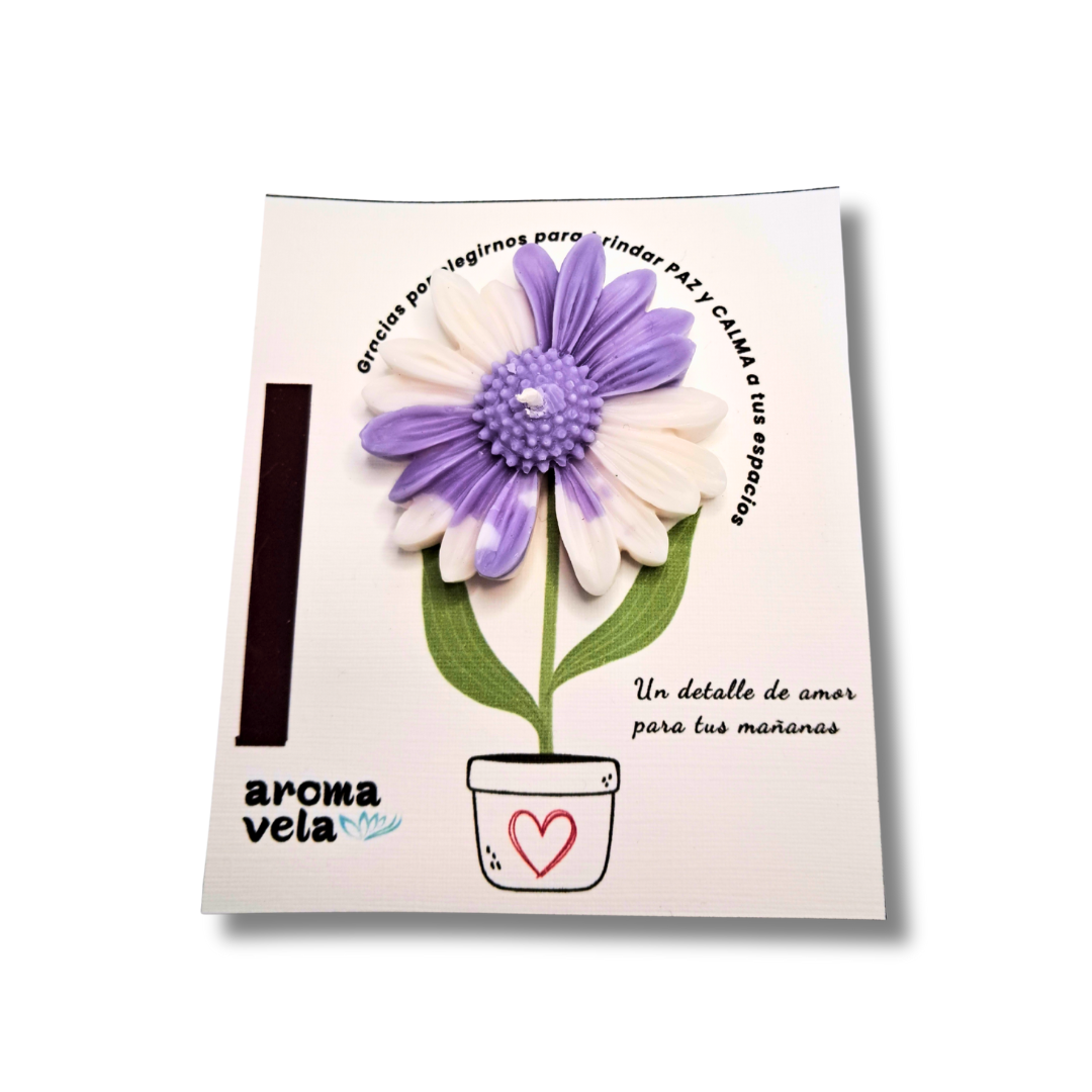 Vela aromática Margarita - Regalo Souvenir